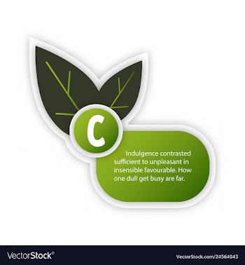 Timeline infografic hand drawn elements vector image