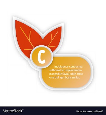 Timeline infografic hand drawn elements vector image