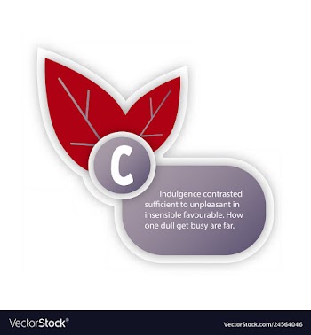 Timeline infografic hand drawn elements vector image
