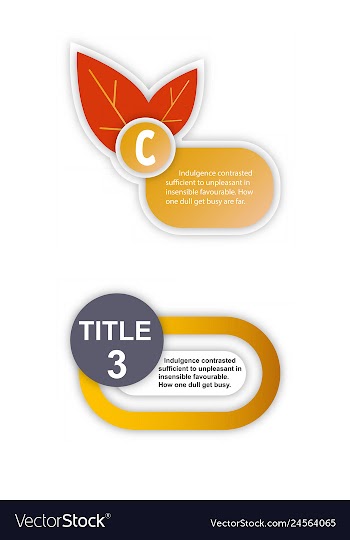 Timeline infografic hand drawn elements vector image