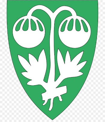 Tingvoll Surnadal Botn Sunndal Municipality - atheris ecommerce 