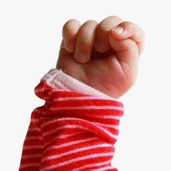 Tiny baby hand isolated image | Free Photo - rawpixel