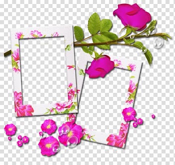 TinyPic Birthday 0, others transparent background PNG clipart