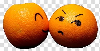 Tipo , two orange fruits transparent background PNG clipart