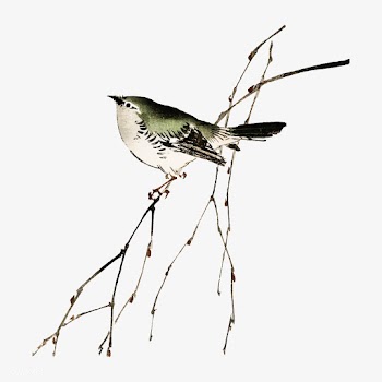 Tit by Kōno Bairei (1844-1895). Digitally en.. | Free stock vector - 467115
