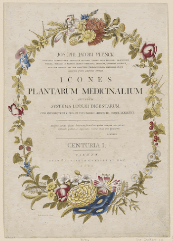 Title Page from Icones Plantarum | Free Photo - rawpixel