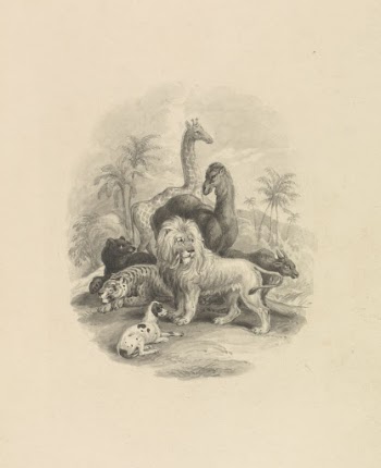 Title Page: The Naturalist Library: | Free Photo - rawpixel