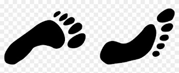To Buy The Perfect Soccer Shoes Or Cleats, You'll Need - Foot Png