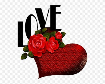 To My Dear Joe♡♡♡, Love You♡ - Love Red Rose Flowers