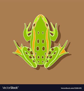 Toad paper sticker on stylish background vector image