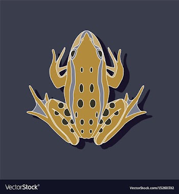 Toad paper sticker on stylish background vector image