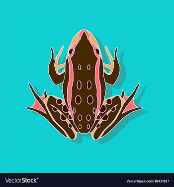 Toad paper sticker on stylish background vector image
