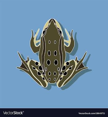 Toad paper sticker on stylish background vector image