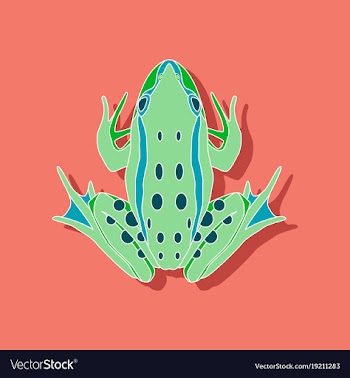 Toad paper sticker on stylish background vector image