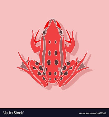 Toad paper sticker on stylish background vector image