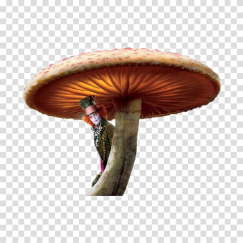 Toadstool PNG Image