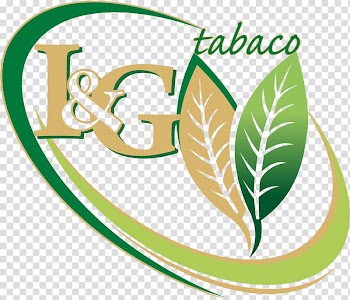 Tobacco Nicotiana tabacum Leaf Logo, Tabaco transparent background PNG clipart