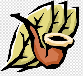 Tobacco pipe Tobacco plants , Tobacco transparent background PNG clipart