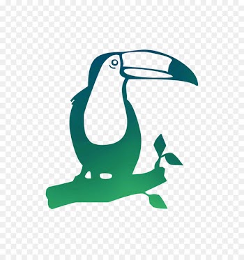 Toco toucan Beak Bird Parrot Keel-billed toucan -  