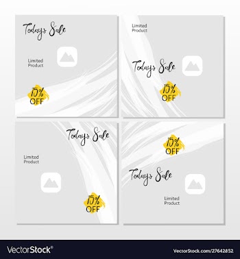 Todays sale social media promotion post vector image