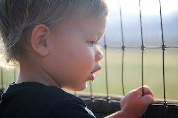Toddler Holding Wire