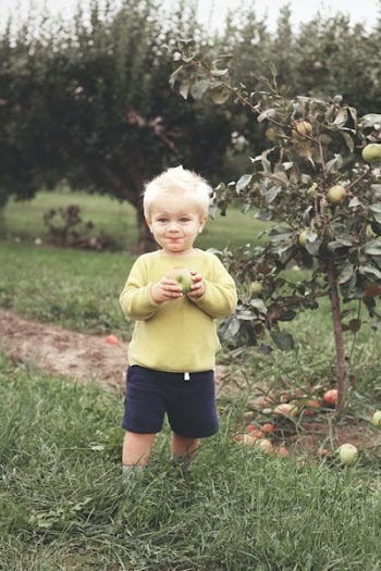 Toddler Standing Beside Green Leafed Plant Holding Fruit