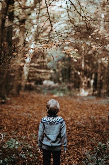 toddler underneath trees