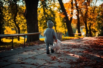 toddler walking and holding bear plush toy