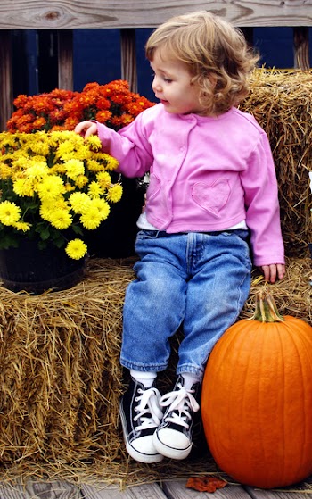 toddlerpumpkin.jpg