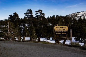 Tohoe Meadows Trailhead Signage
