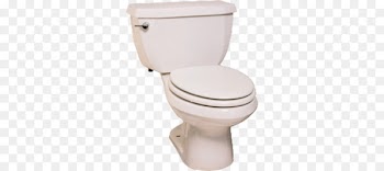 Toilet & Bidet Seats Bathroom Flush toilet - toilet 