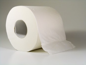 toilet_paper_01.jpg