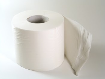 toilet_paper_02.jpg