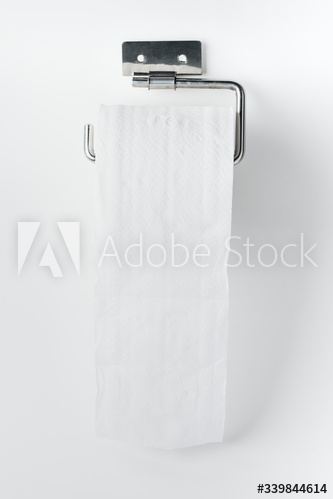 Toilet tissue roll on a holder