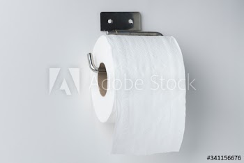 Toilet tissue roll on a holder