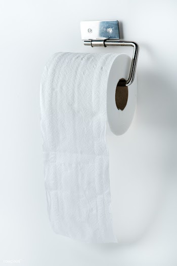 Toilet tissue roll on a holder | Free  photo - 2296789