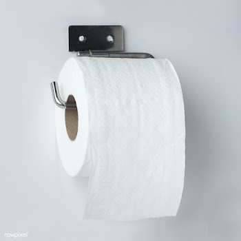 Toilet tissue roll on a holder | Free  photo - 2298485