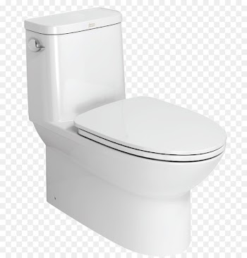 Toilet-to-Go Close-Coupled Toilet Dual-Flush 6Ltr Ideal Standard Bathroom Toilet seat - neo 