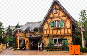Tokyo Disneyland Shanghai Disneyland Park Pudong Hong Kong Disneyland - Disney 