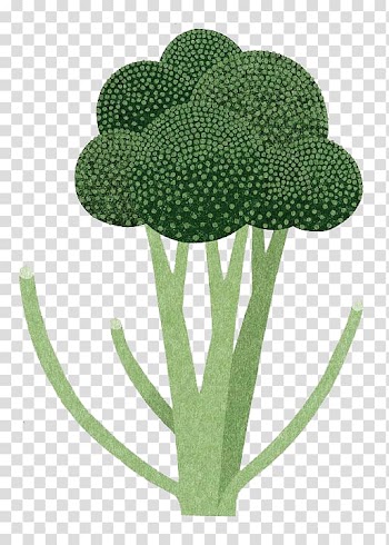 Tokyo Illustrator Drawing Art Illustration, Watercolor broccoli transparent background PNG clipart