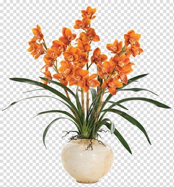 Tolumnia Dancing-lady Orchid Boat orchid Flower Epiphyte, Yellow Flower white vase floral decoration software installed transparent background PNG clipart