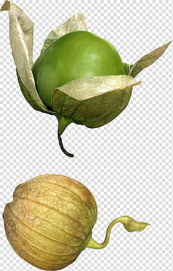 Tomatillo Mexican cuisine Vegetable Food Fruit, vegetable transparent background PNG clipart