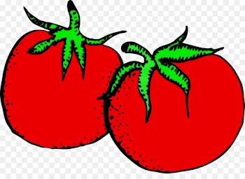 Tomato