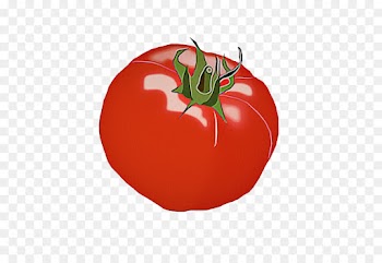 Tomato