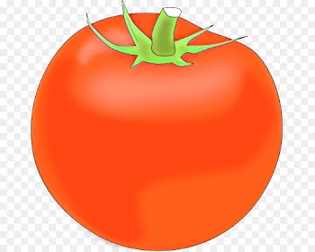 Tomato