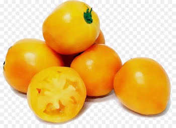 Tomato