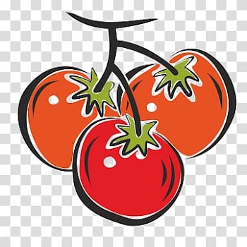 Tomato Canal Winchester Vegetable , tomato transparent background PNG clipart
