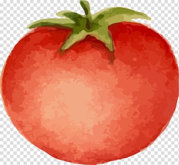 Tomato Cartoon Animation, Hand painted tomato transparent background PNG clipart