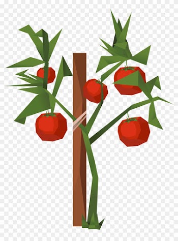 Tomato Clip Art - Tomato Clip Art