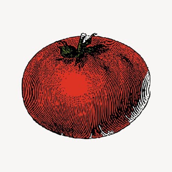 Tomato clipart, vegetable illustration vector. | Free Vector - rawpixel
